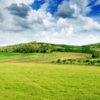 Який розмір орендної плати за земельні ділянки державної та комунальної власності?