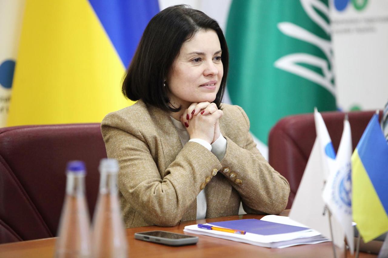 CRM у 2026 році: ДПС та радники МВФ узгодили першочергові кроки системного впровадження. Фото № 4/3