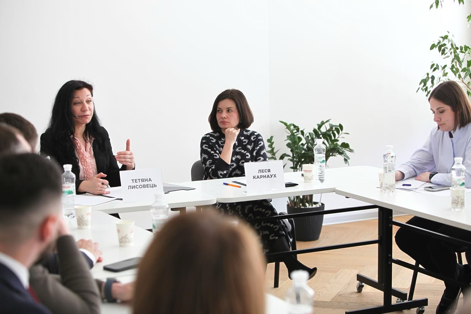 Податкова медіація, виконання судових рішень, співпраця з правоохоронцями: зустріч Лесі Карнаух із Асоціацією правників України. Фото № 4/3