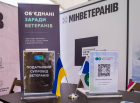 Податковий супровід ветеранів: ДПС долучилася до Superhumans Reunion 2026. Фото № 14/13